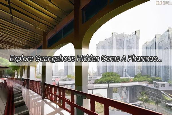 Explore Guangzhous Hidden Gems A Pharmacists Guide to Topnotch Drugstores